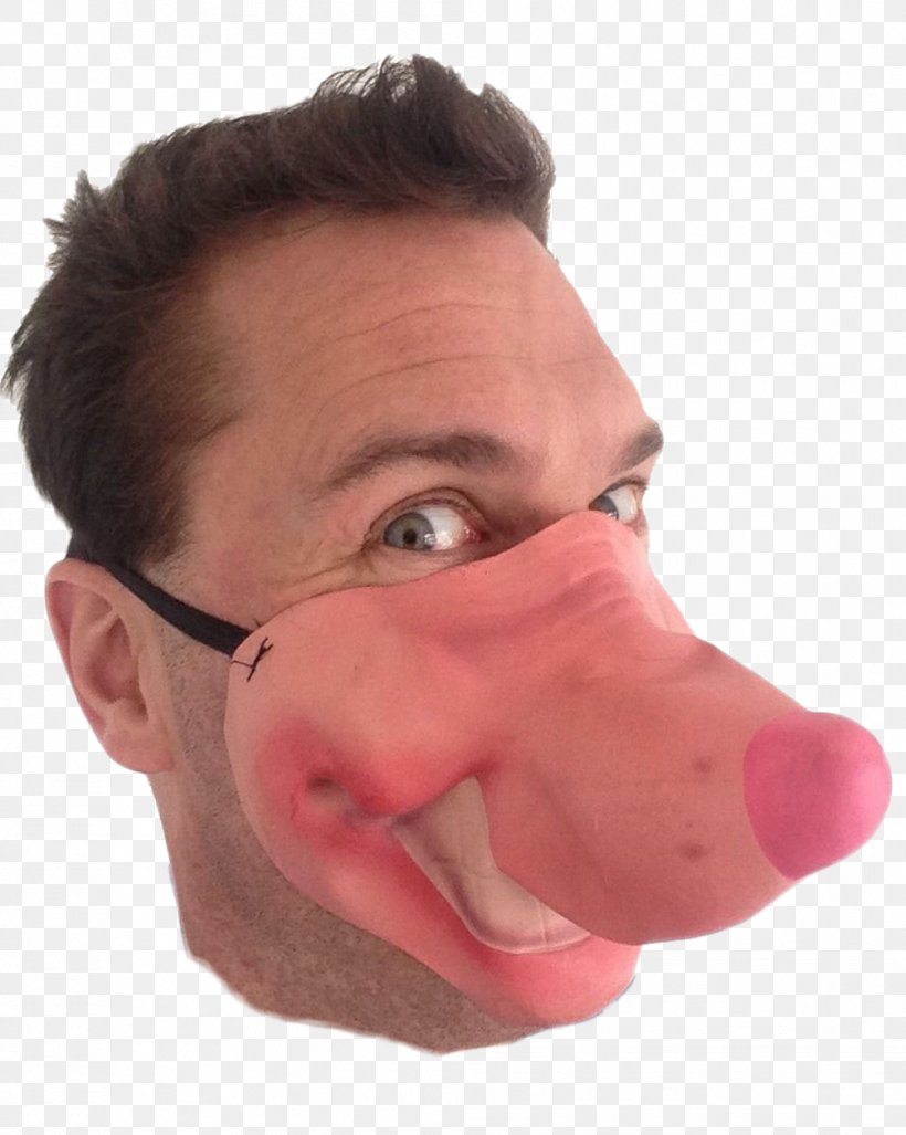 Nose Face Cheek Lip Mask, PNG, 1006x1261px, Nose, Cheek, Chin, Close Up, Computer Mouse Download Free