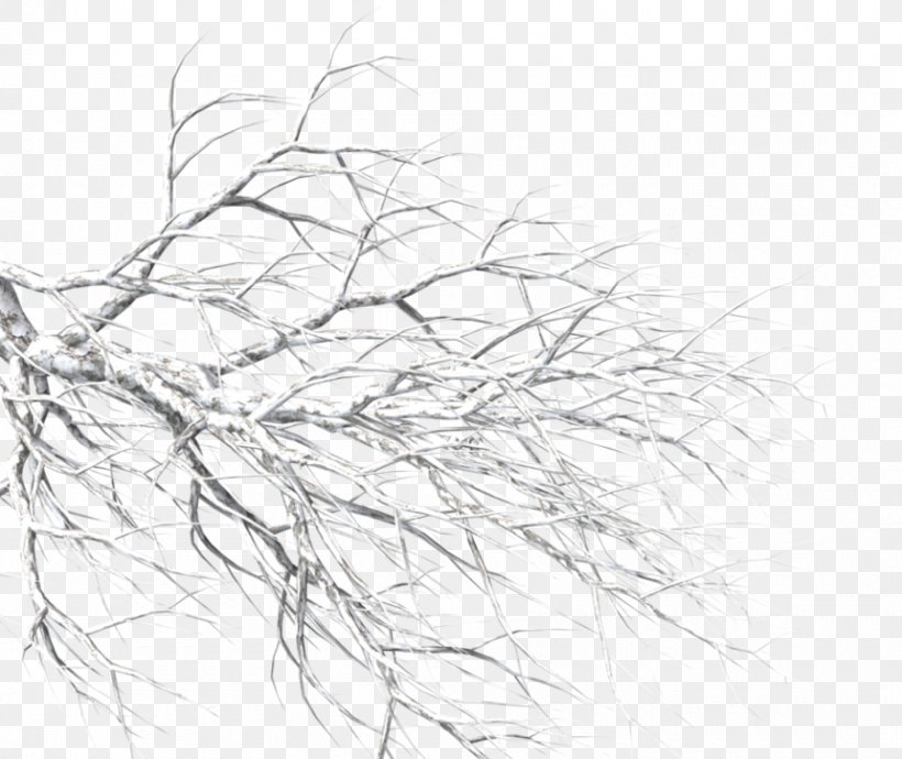 Snow Branch Image Tree, PNG, 860x724px, Snow, Art, Artwork, Black And White, Branch Download Free
