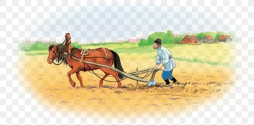 Book Short Story Fairy Tale Horse Reading, PNG, 762x404px, Book, Bridle, Cart, Chariot, Chariot Racing Download Free