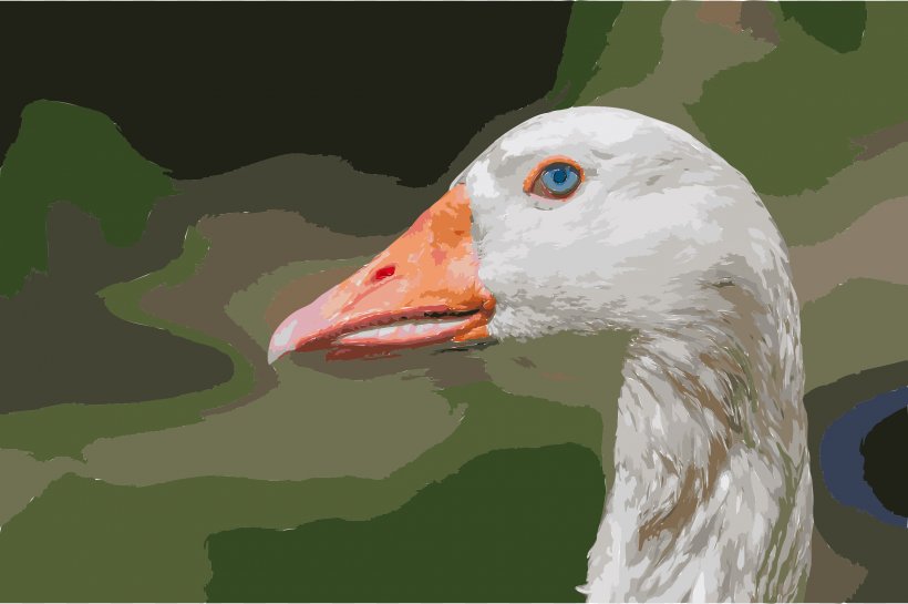 Canada Goose Bird Chaguaramal Duck, PNG, 2400x1598px, Goose, Anatidae, Anseriformes, Beak, Bird Download Free