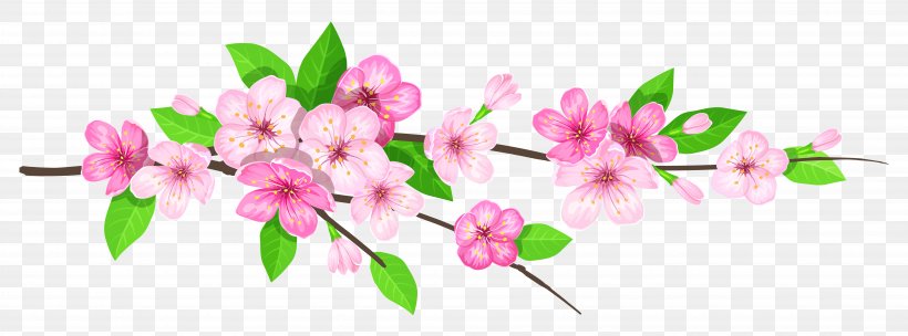 Clip Art, PNG, 7312x2714px, Branch, Blossom, Cherry Blossom, Cut Flowers, Flora Download Free