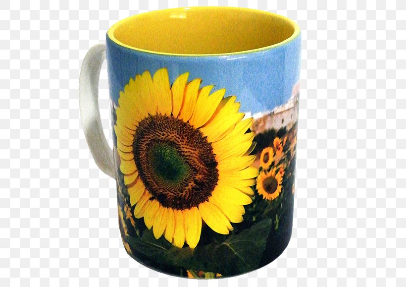 Dandelion Coffee Coffee Cup Ceramic Flowerpot, PNG, 576x579px, Dandelion Coffee, Ceramic, Coffee, Coffee Cup, Cup Download Free