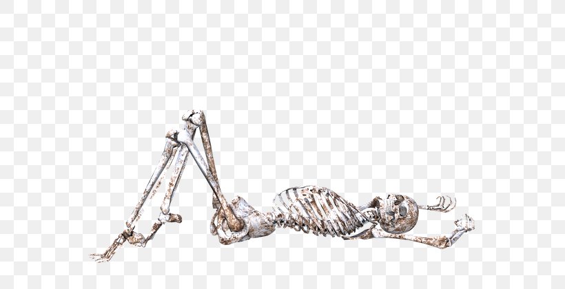 Human Skeleton Skull, PNG, 640x420px, Skeleton, Auto Part, Body Jewelry, Bone, Data Compression Download Free
