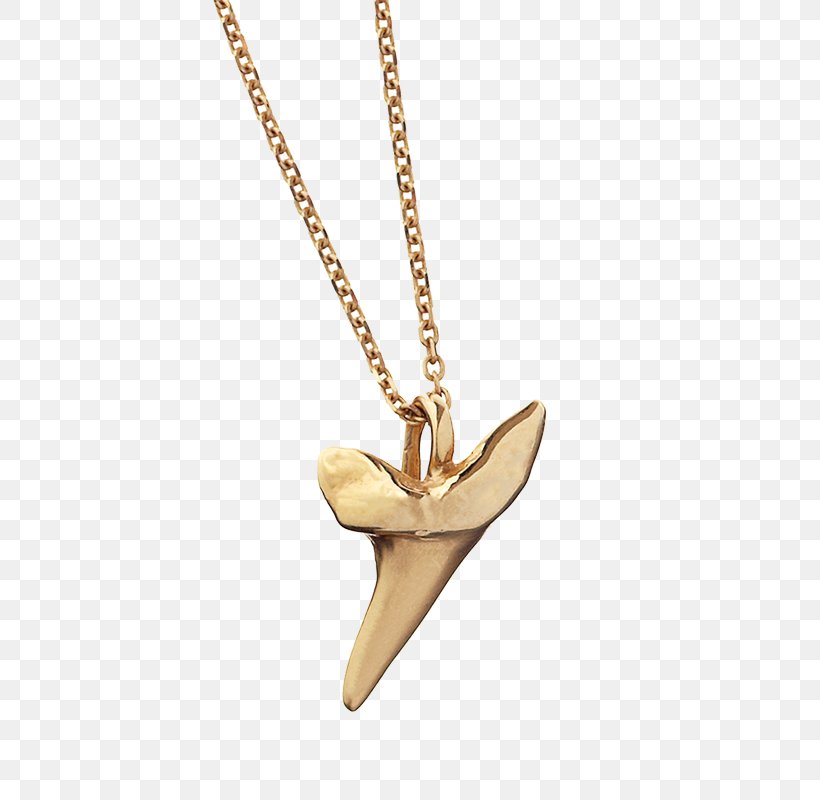 Necklace Charms & Pendants Clothing Accessories Jewellery Choker, PNG, 800x800px, Necklace, Body Jewelry, Chain, Charms Pendants, Choker Download Free