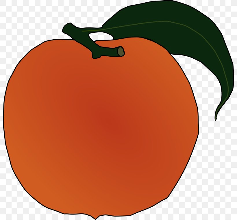 Peach Fruit Clip Art, PNG, 800x761px, Peach, Apple, Diospyros, Flowering Plant, Food Download Free
