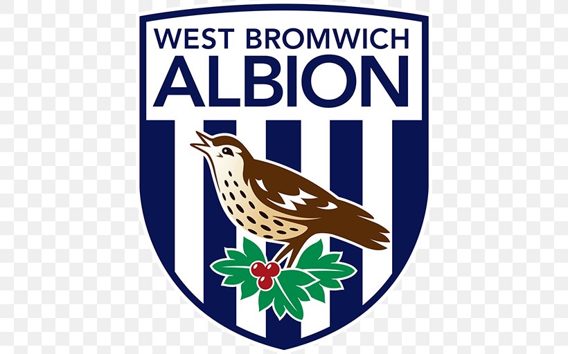 The Hawthorns West Bromwich Albion F.C. Premier League Crystal Palace F.C. Liverpool F.C., PNG, 512x512px, Hawthorns, Advertising, Area, Artwork, Beak Download Free
