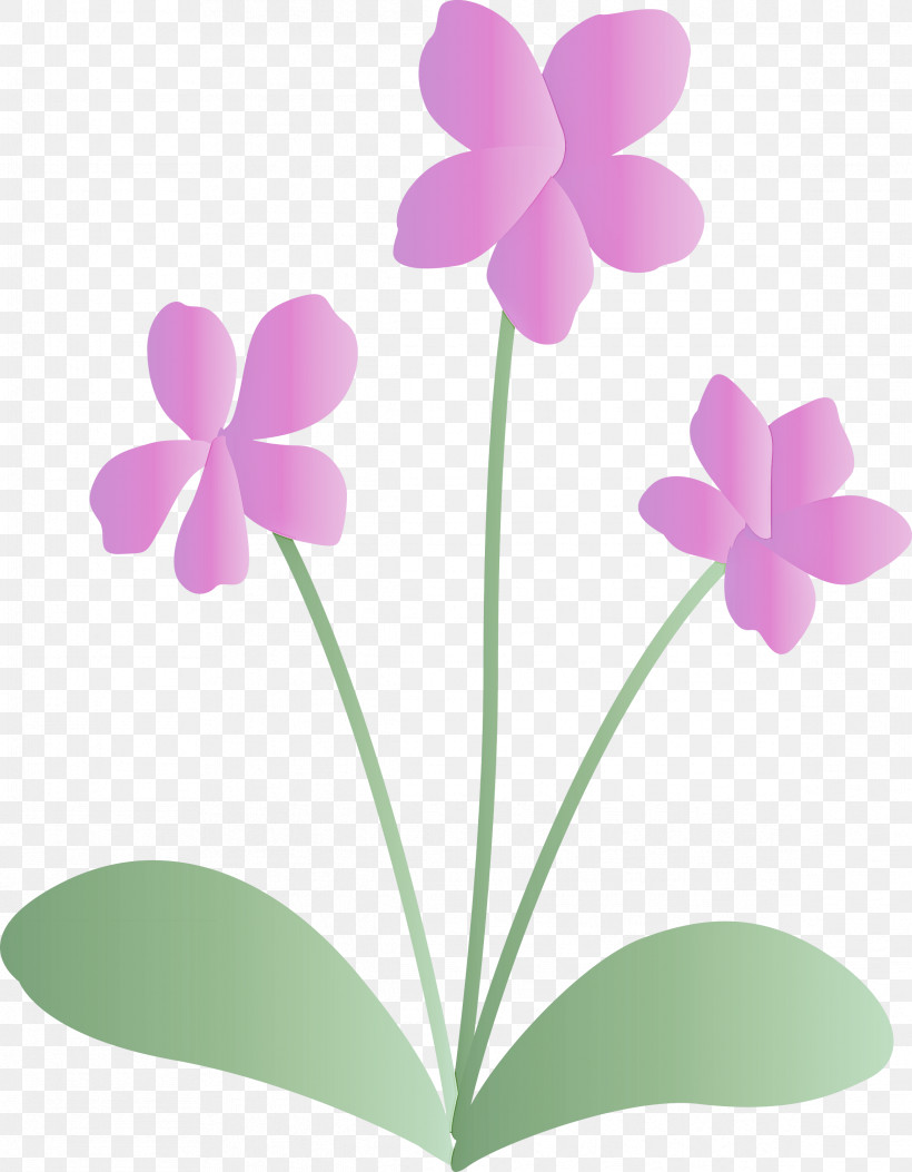 Violet Flower, PNG, 2334x3000px, Violet Flower, Biology, Flower, Herbaceous Plant, Leaf Download Free