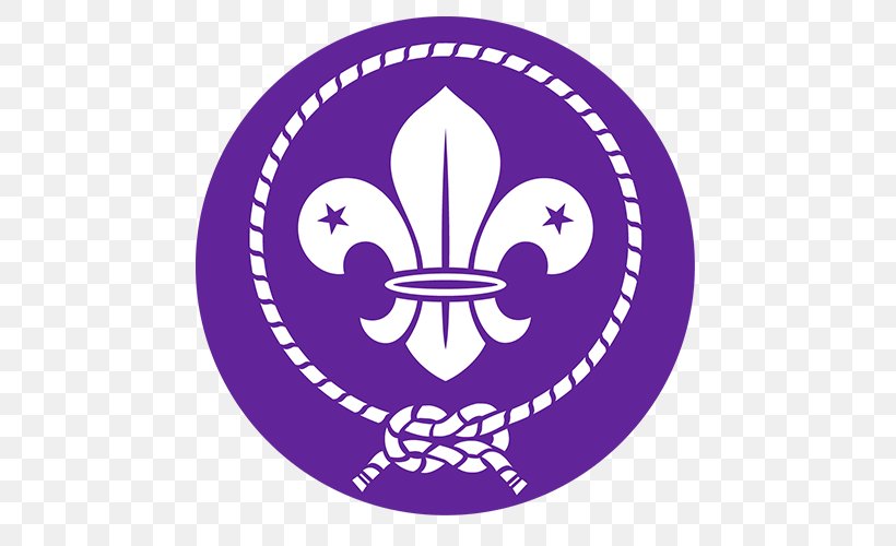 World Organization Of The Scout Movement World Scout Jamboree Scouting The Scout Association, PNG, 500x500px, World Scout Jamboree, Area, Boy Scouts Of America, Jamboree, Logo Download Free