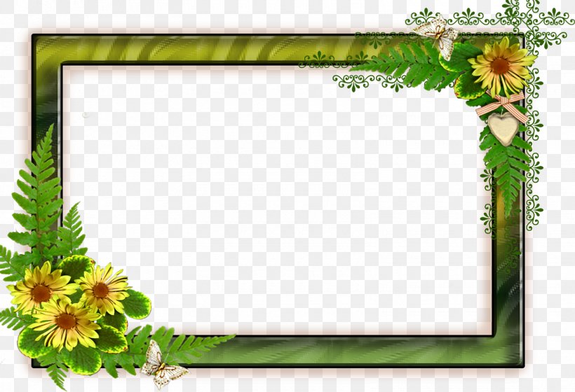 Borders And Frames Picture Frames Transparency Clip Art, PNG, 1600x1094px, Borders And Frames, Border, Cut Flowers, Flora, Floral Design Download Free