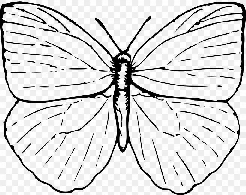 Butterfly Drawing Clip Art, PNG, 1920x1522px, Butterfly, Arthropod, Artwork, Black And White, Brush Footed Butterfly Download Free