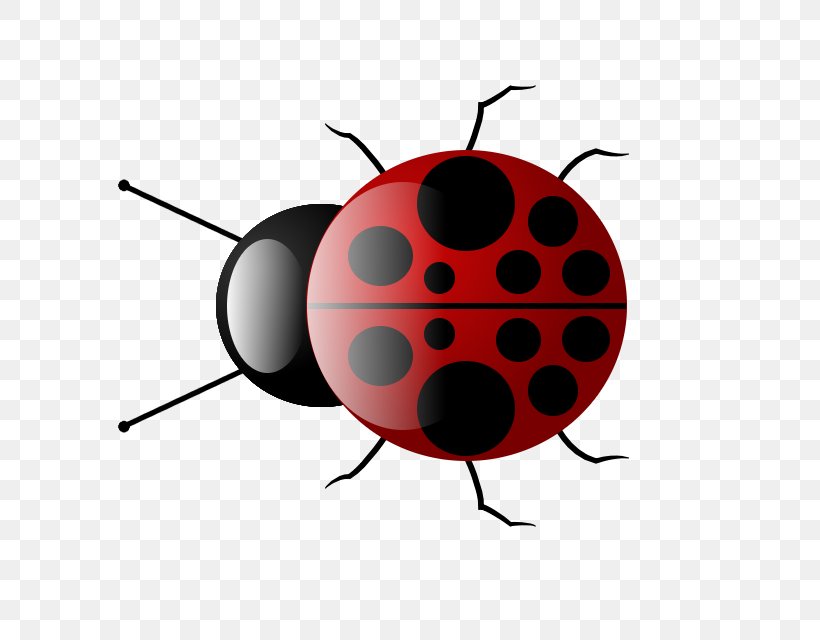 Insect Ladybird Drawing, PNG, 640x640px, Insect, Beetle, Drawing, Gimp, Howto Download Free