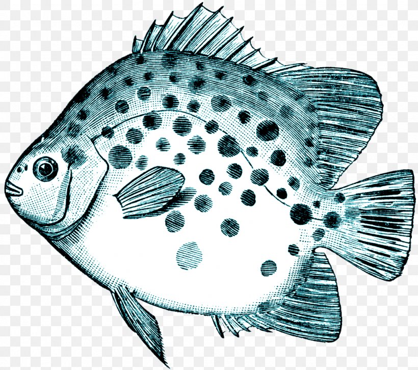 Sawfish Clip Art, PNG, 1024x907px, Fish, Digital Stamp, Drawing, Fauna, Flatfish Download Free