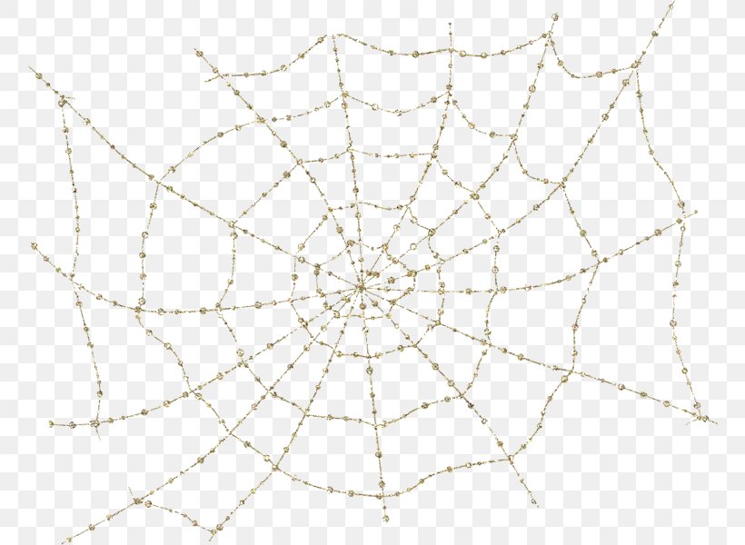 Spider Web Line Point Symmetry, PNG, 762x600px, Spider Web, Arachnid, Black And White, Invertebrate, Material Download Free