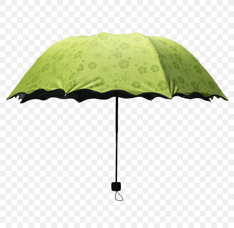 Umbrella Auringonvarjo, PNG, 800x800px, Umbrella, Auringonvarjo, Concepteur, Data, Designer Download Free