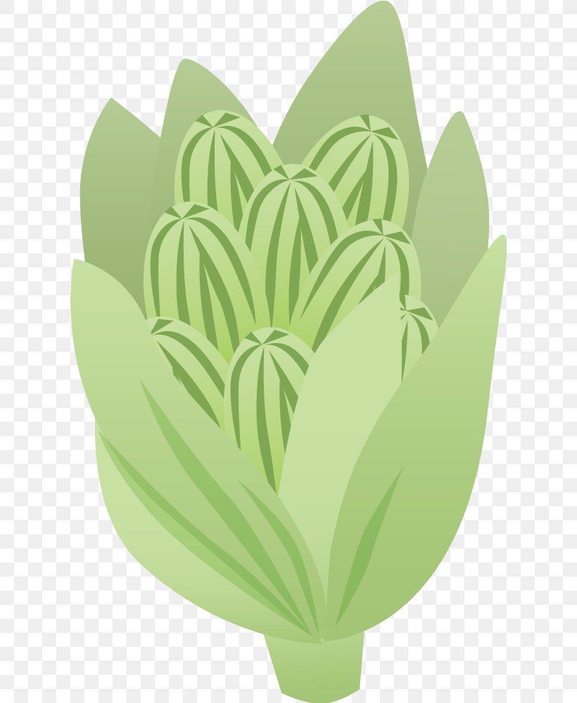 Fuki Vegetable Olericulture Sansai Illustration, PNG, 620x1000px, Fuki, Cartoon, Flower, Flowering Plant, Flowerpot Download Free