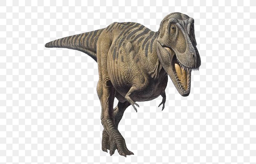 Tarbosaurus Tyrannosaurus Dinosaur Patagosaurus Late Cretaceous, PNG, 600x525px, Tarbosaurus, Bipedalism, Cretaceous, Dinosaur, Evolution Of Dinosaurs Download Free