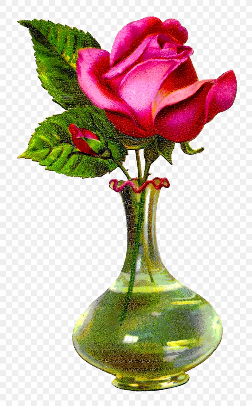 Flower Vase Garden Roses Floral Design Glass, PNG, 995x1600px, Flower, Centifolia Roses, Cut Flowers, Floral Design, Floristry Download Free