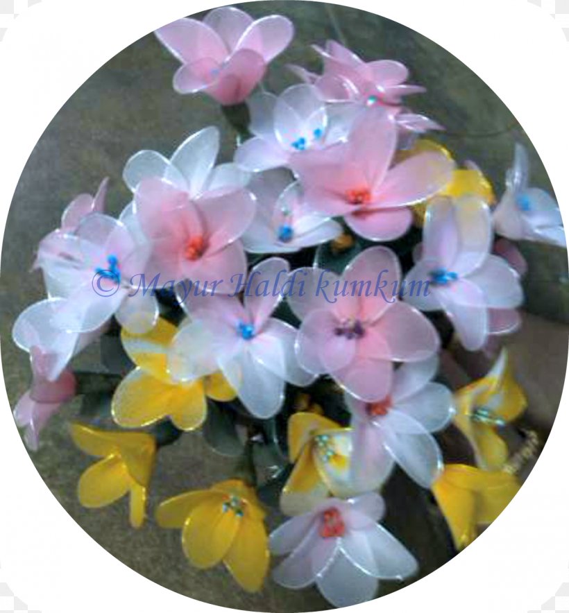 Flowering Plant, PNG, 1200x1294px, Flowering Plant, Flower, Petal, Plant Download Free
