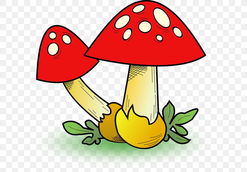 Fungus Edible Mushroom Clip Art, PNG, 600x573px, Fungus, Amanita, Amanita Muscaria, Artwork, Common Mushroom Download Free