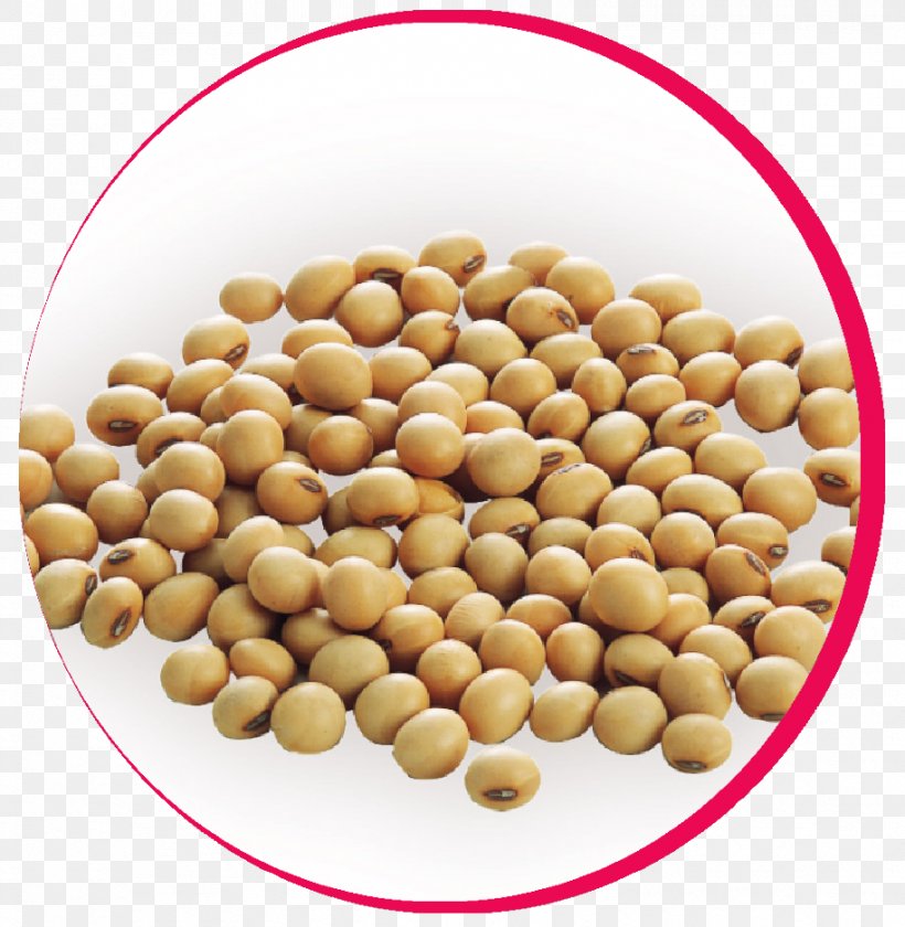 Peanut Vegetarian Cuisine Bean Superfood, PNG, 915x938px, Peanut, Bean, Commodity, Food, Ingredient Download Free