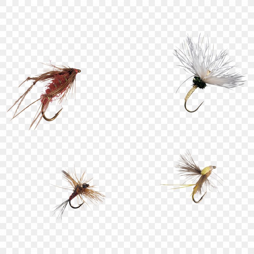 Artificial Fly Insect, PNG, 2025x2025px, Artificial Fly, Fishing Bait, Fishing Lure, Fly, Insect Download Free