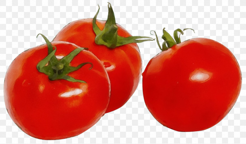 Salad, PNG, 850x499px, Watercolor, Bush Tomato, Cherry Tomatoes, Datterino Tomato, Guacamole Download Free
