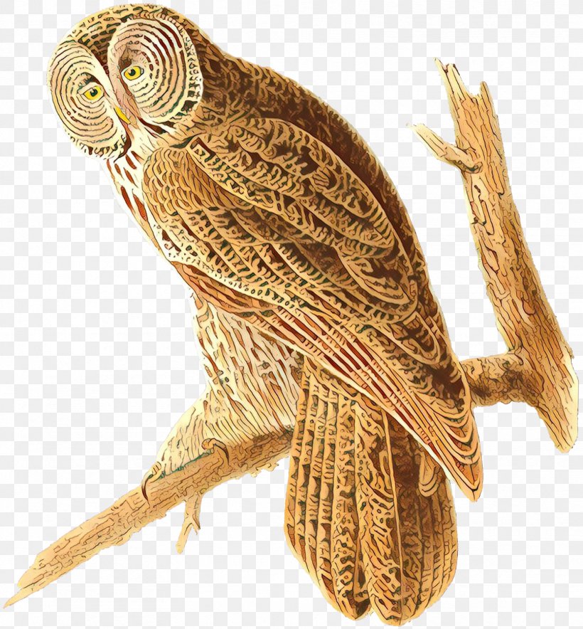 Cartoon Bird, PNG, 1668x1800px, Owl, Barn Owl, Barred Owl, Beak, Bird Download Free