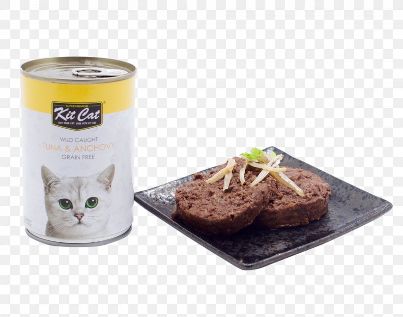 Cat Food Nutrient Felidae Kitten, PNG, 2247x1772px, Cat, Anchovies As Food, Anchovy, Canning, Cat Food Download Free