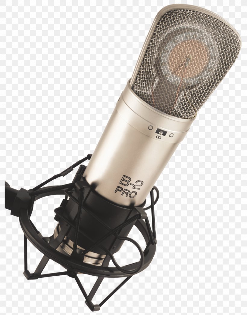 Microphone Behringer Recording Studio Diaphragm Condensatormicrofoon, PNG, 1251x1600px, Watercolor, Cartoon, Flower, Frame, Heart Download Free