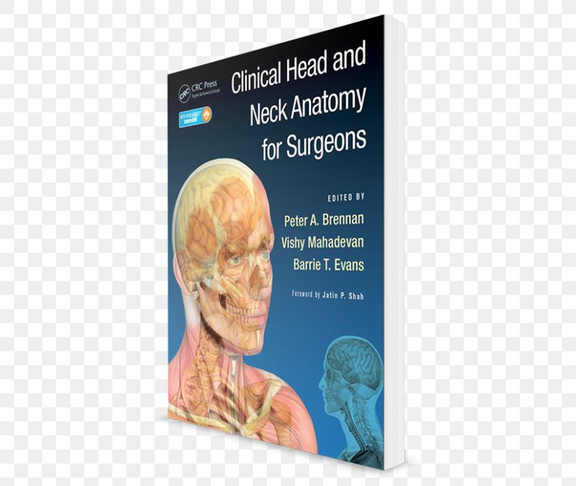 Neuroanatomy Through Clinical Cases Head And Neck Anatomy Surgery Human ...