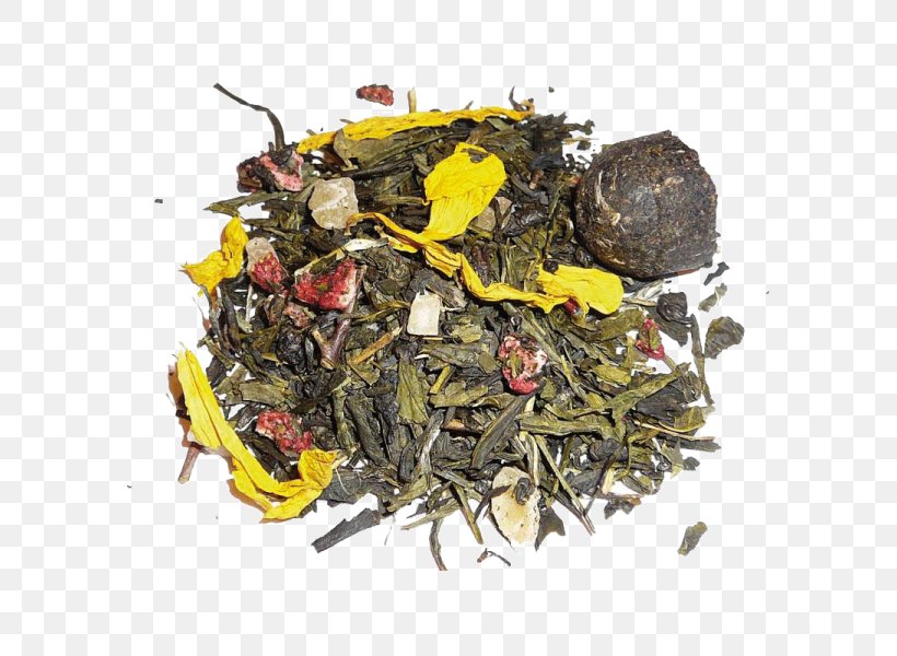 Nilgiri Tea Romeritos Oolong Tea Plant, PNG, 600x600px, Nilgiri Tea, Assam Tea, Bancha, Ceylon Tea, Da Hong Pao Download Free