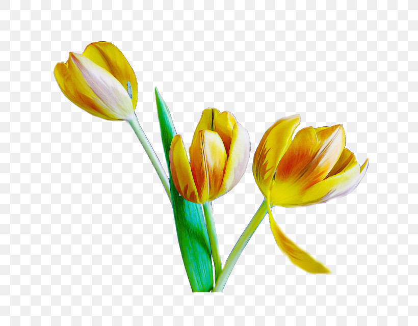 Artificial Flower, PNG, 640x640px, Cut Flowers, Artificial Flower, Bud, Flower, Flower Bouquet Download Free