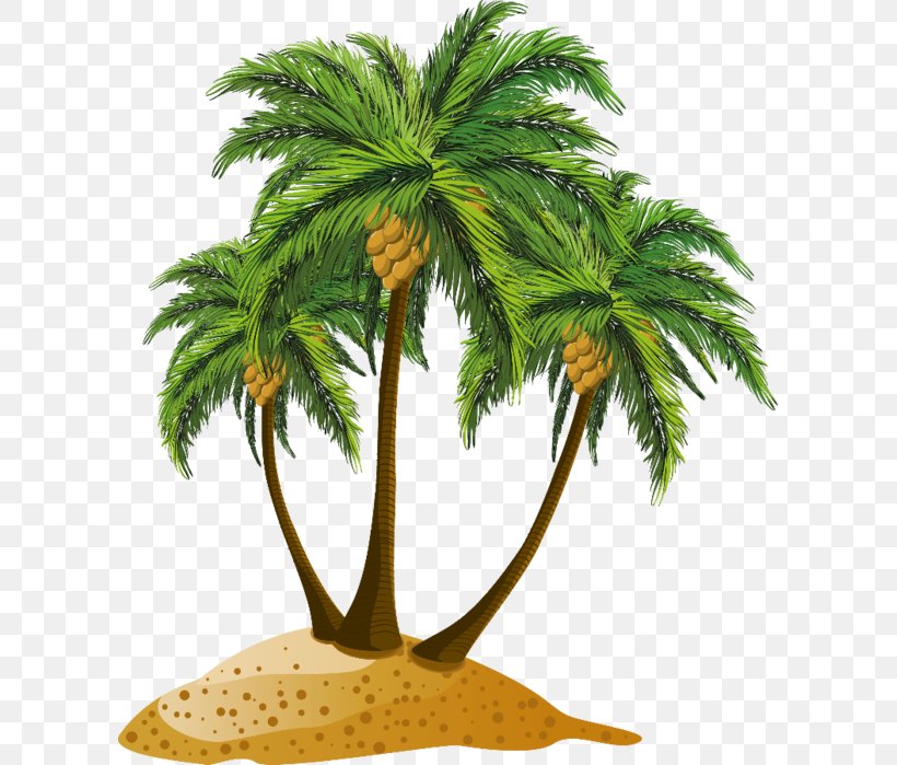 Beach Clip Art, PNG, 603x699px, Beach, Arecales, Borassus Flabellifer, Coconut, Date Palm Download Free