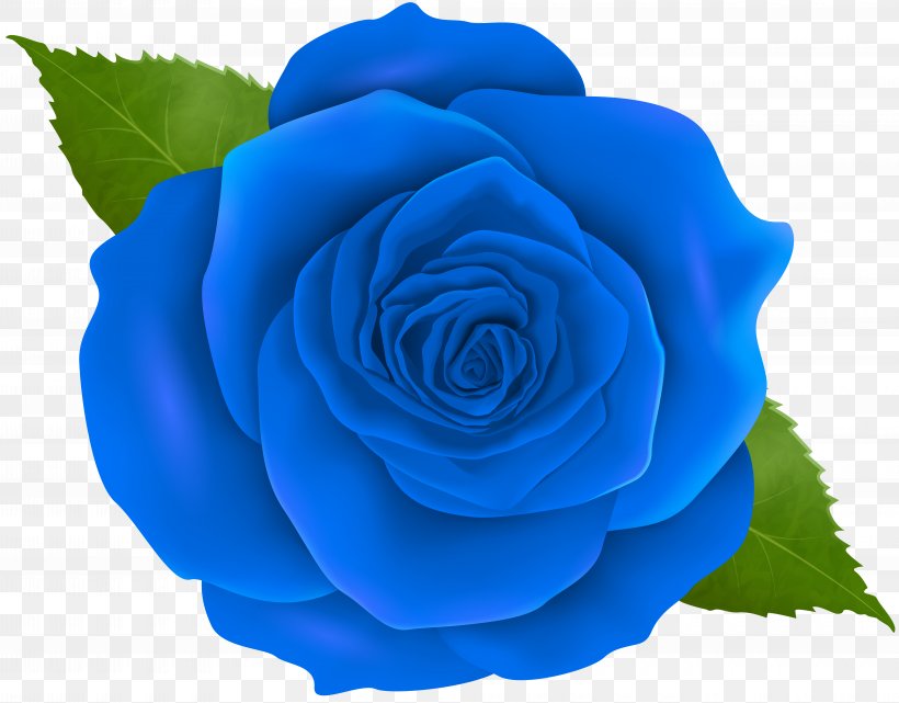 Blue Rose Centifolia Roses Clip Art, PNG, 8000x6261px, Blue Rose, Blue, Cobalt Blue, Cut Flowers, Digital Scrapbooking Download Free