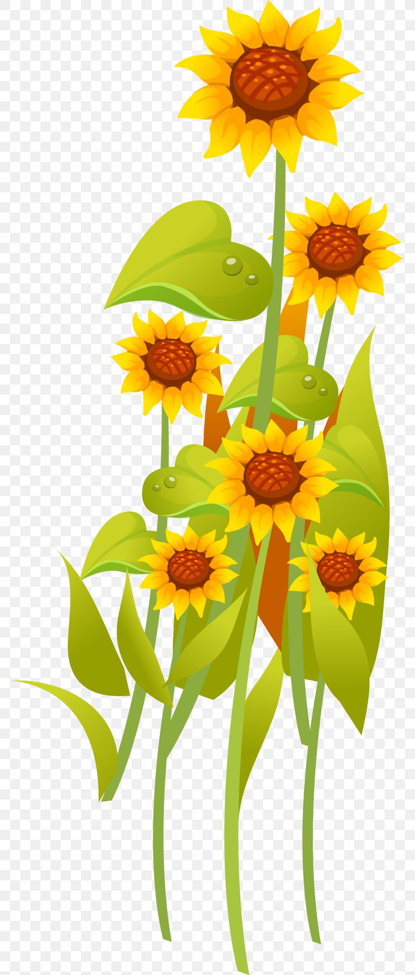 Common Sunflower Yellow Illustration, PNG, 776x1927px, Common Sunflower, Cartoon, Daisy Family, Designer, Drawing Download Free
