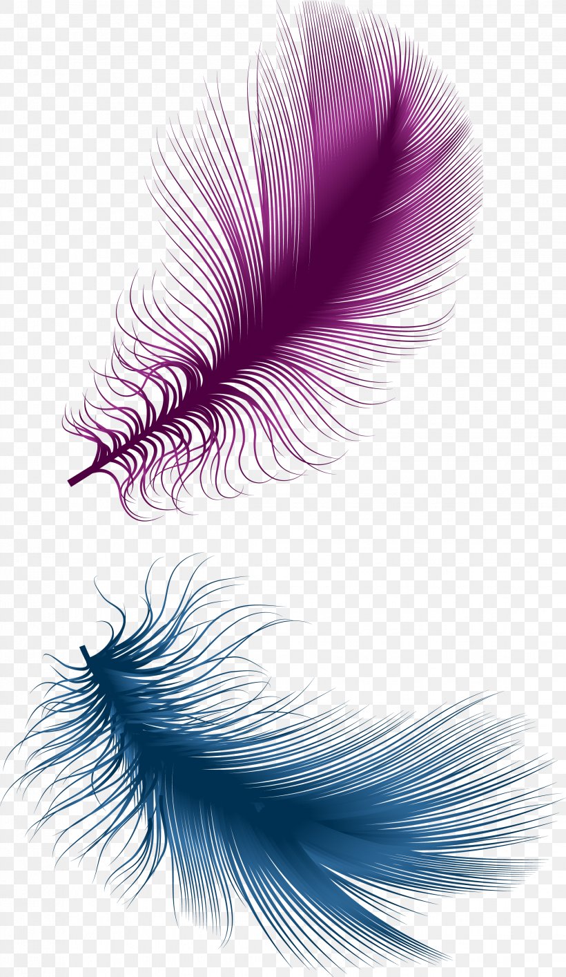 Feather Purple, PNG, 2244x3871px, Bird, Close Up, Designer, Eyelash, Feather Download Free