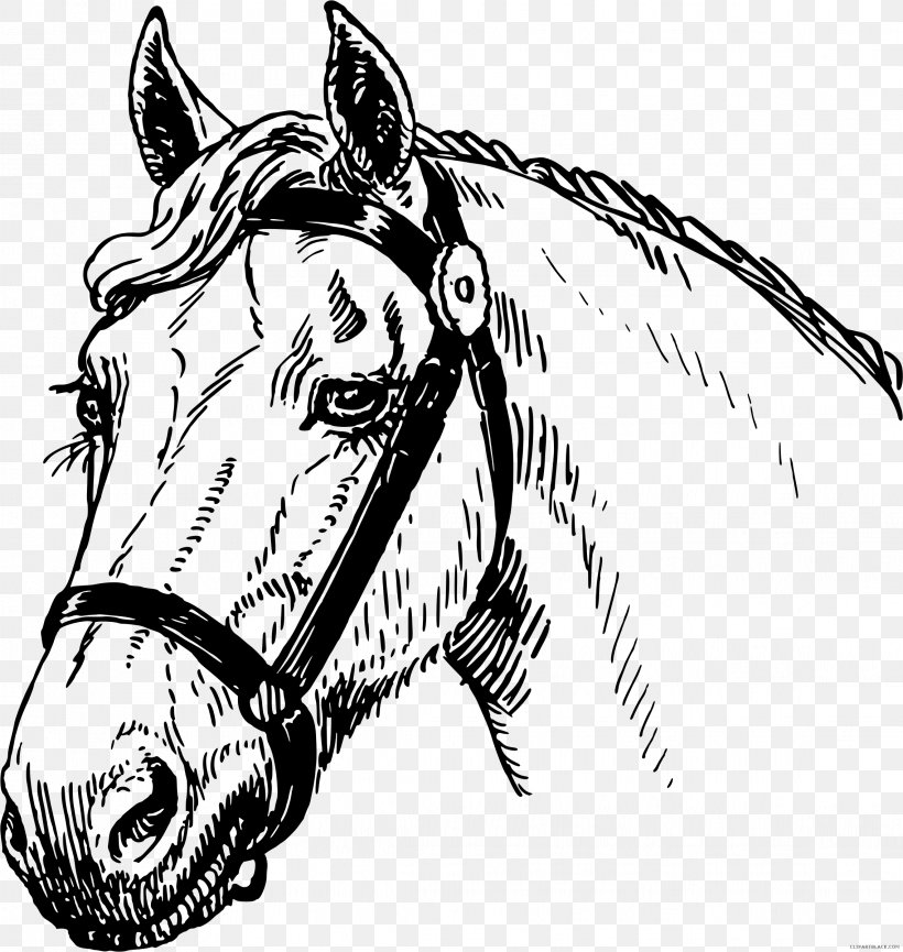Mustang Mane American Quarter Horse Appaloosa Arabian Horse, PNG, 2274x2399px, Mustang, American Quarter Horse, Appaloosa, Arabian Horse, Art Download Free
