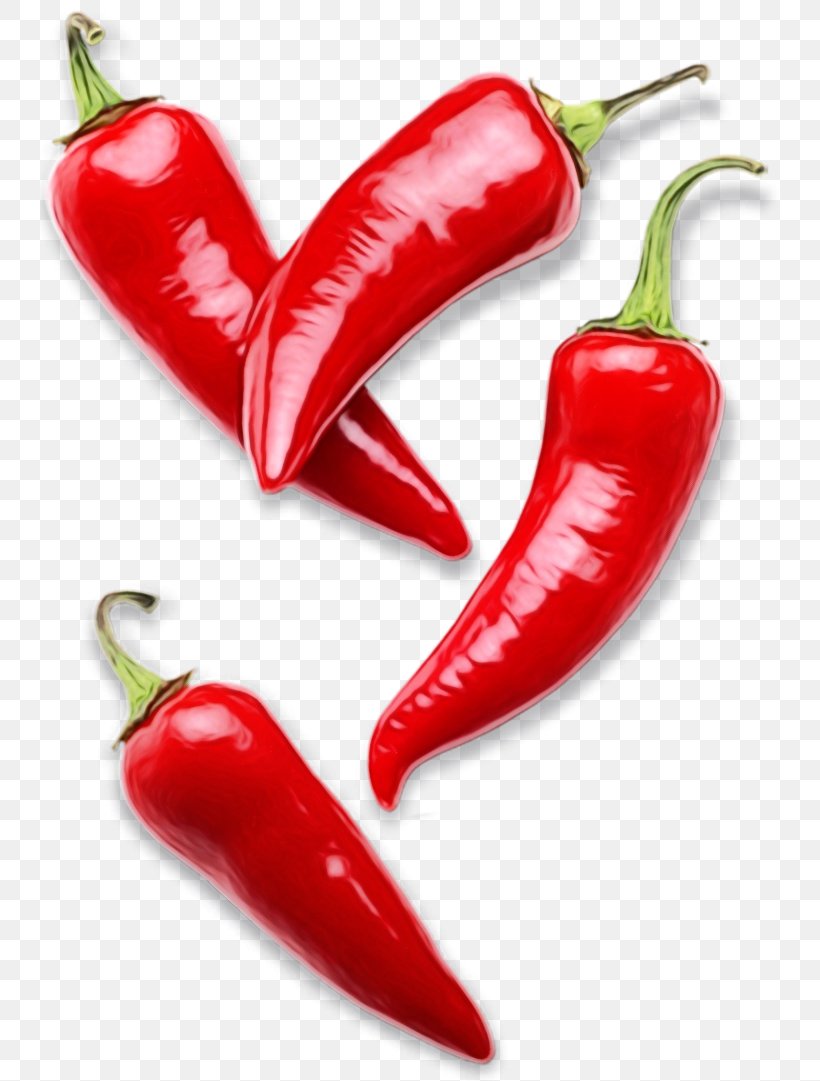 Watercolor Natural, PNG, 739x1081px, Watercolor, Birds Eye Chili, Capsicum, Cayenne Pepper, Chili Pepper Download Free