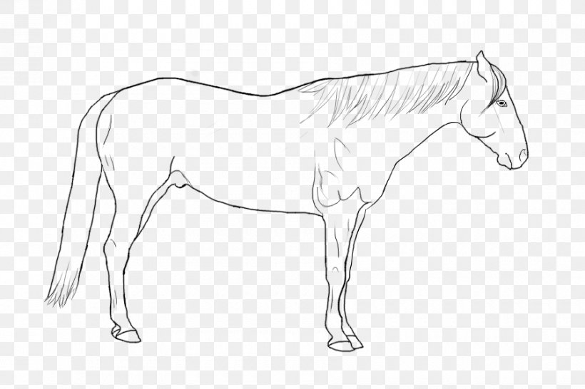 Foal Pony Mustang Rein Mane, PNG, 900x600px, Foal, Arm, Artwork, Black And White, Bridle Download Free