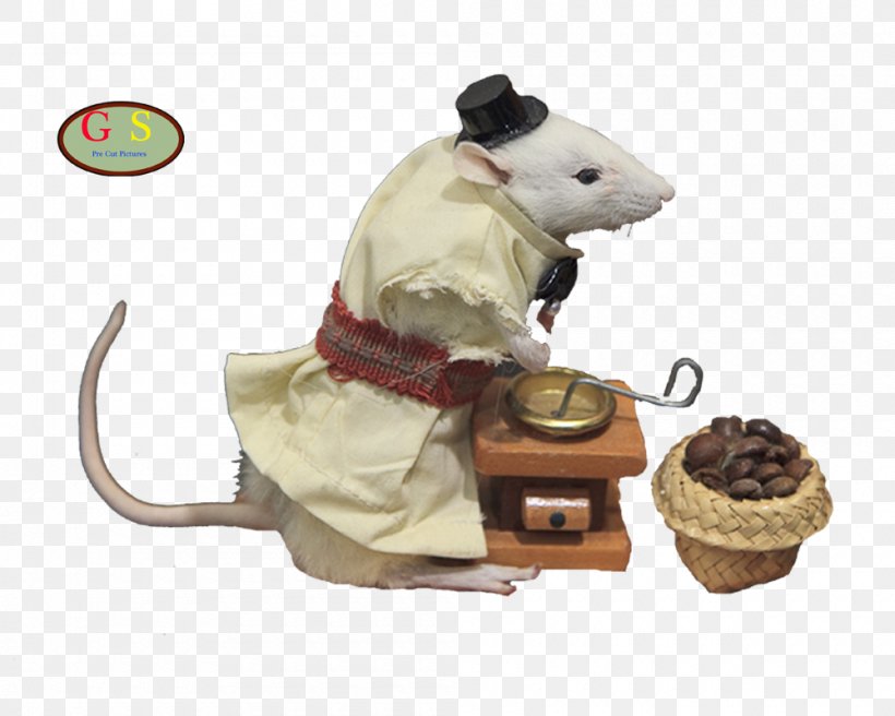 Computer Mouse, PNG, 1000x800px, Computer Mouse, Mouse, Muridae, Muroidea, Rat Download Free