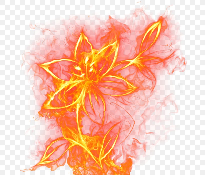 Flower Fire Rose Flame Clip Art, PNG, 700x700px, Flower, Blue, Combustion, Fire, Flame Download Free