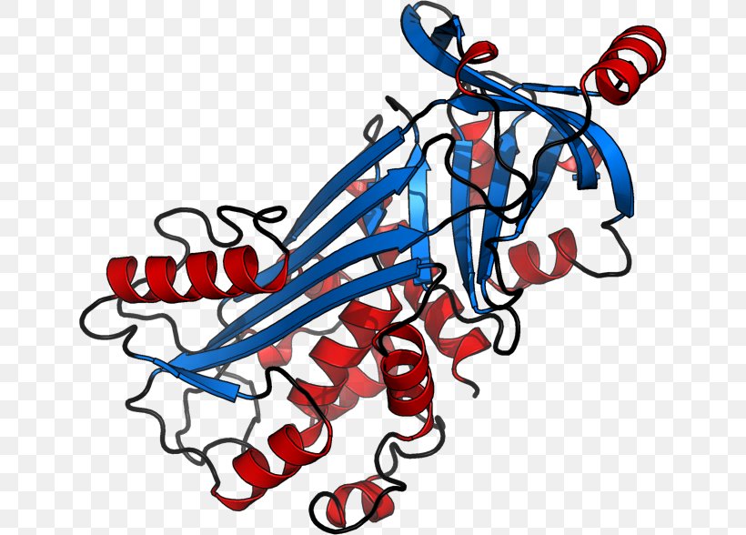 Ovalbumin Protein Structure 単純タンパク質, PNG, 646x588px, Watercolor, Cartoon, Flower, Frame, Heart Download Free