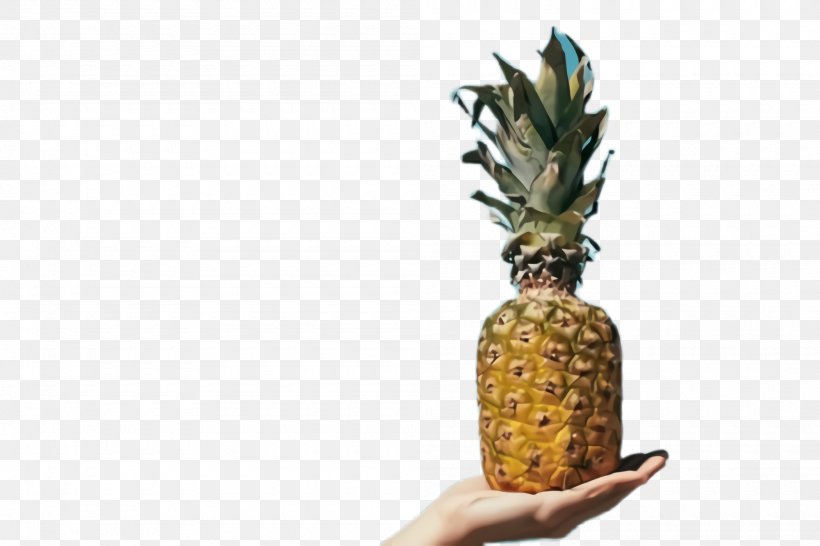 Pineapple, PNG, 2000x1332px, Pineapple, Ananas, Food, Fruit, Plant Download Free