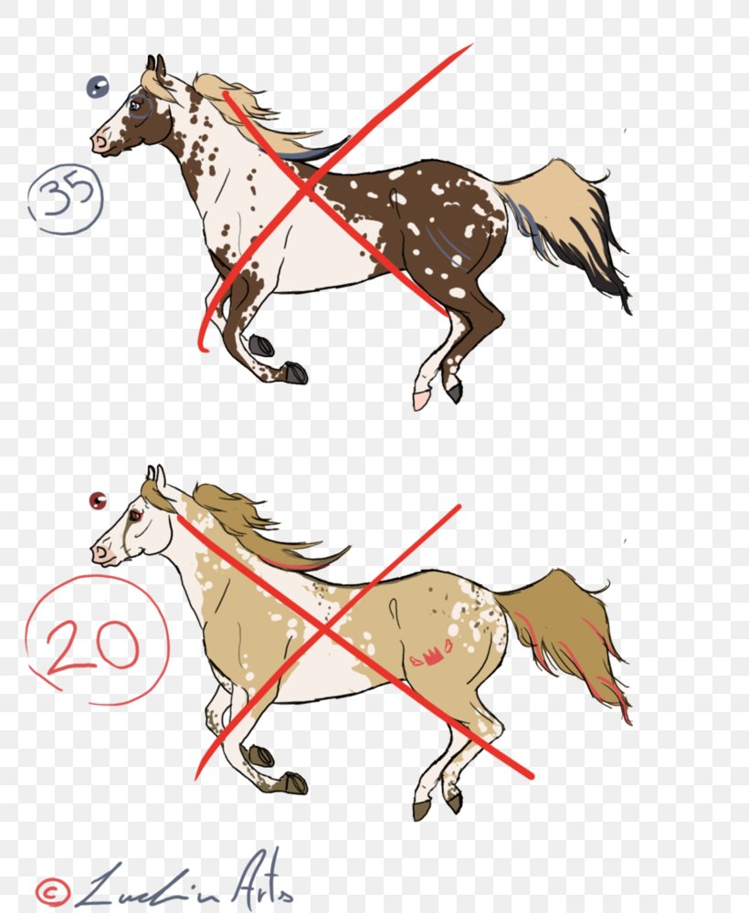 Pony Mustang Bridle Pack Animal Mane, PNG, 800x1000px, Pony, Animal Figure, Art, Bridle, Carnivora Download Free