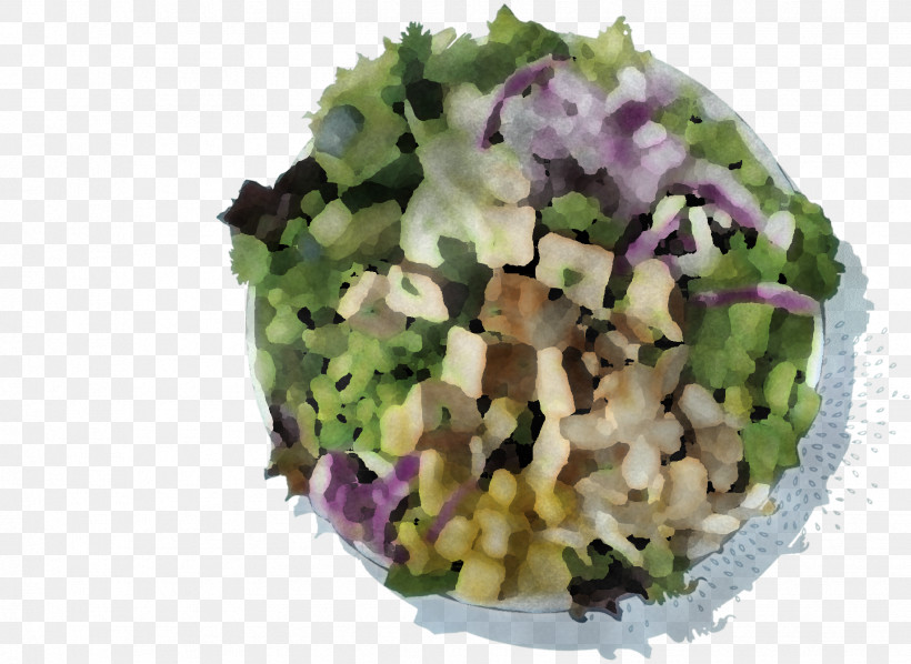 Salad, PNG, 1836x1340px, Vegetarian Cuisine, Hahn Hotels Of Sulphur Springs Llc, Leaf Vegetable, Salad, Superfood Download Free