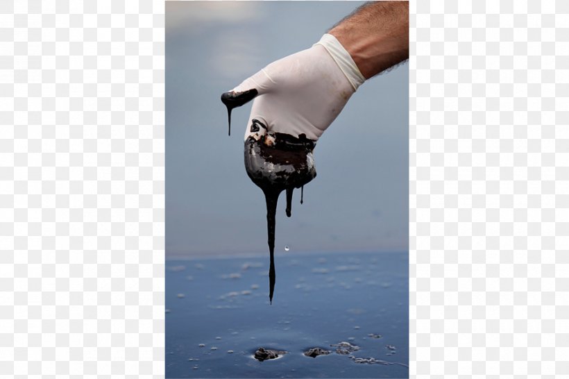 Deepwater Horizon Oil Spill Gulf Of Mexico Macondo Prospect, PNG, 900x600px, Deepwater Horizon Oil Spill, Big Oil, Company, Deepwater Horizon, Drilling Rig Download Free