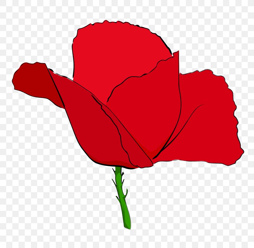 Remembrance Poppy Common Poppy Clip Art, PNG, 800x800px, Remembrance Poppy, Anzac Day, Armistice Day, Common Poppy, Drawing Download Free