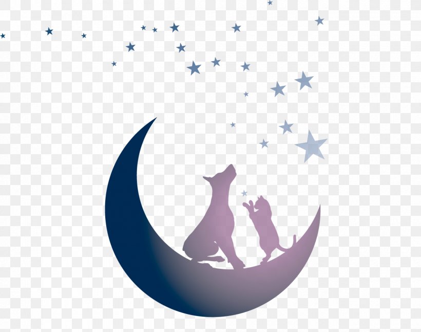 Tails By Twilight Gala Cat YouTube The Twilight Saga, PNG, 1260x994px, Cat, Animal, Crescent, Dog, Fictional Character Download Free
