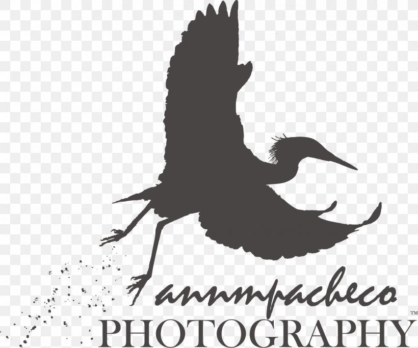Beak Logo Bird Fauna Font, PNG, 1272x1061px, Beak, Bird, Black And White, Brand, Fauna Download Free