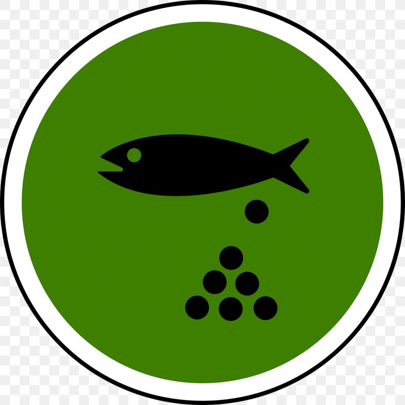 Koi Fish Pond Spawn Clip Art, PNG, 1280x1280px, Koi, Area, Carp, Fish, Fish Pond Download Free